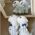 Load image into Gallery viewer, Bon Voyage Collection - Acc