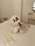 Load image into Gallery viewer, Paddington Ribbon Ops