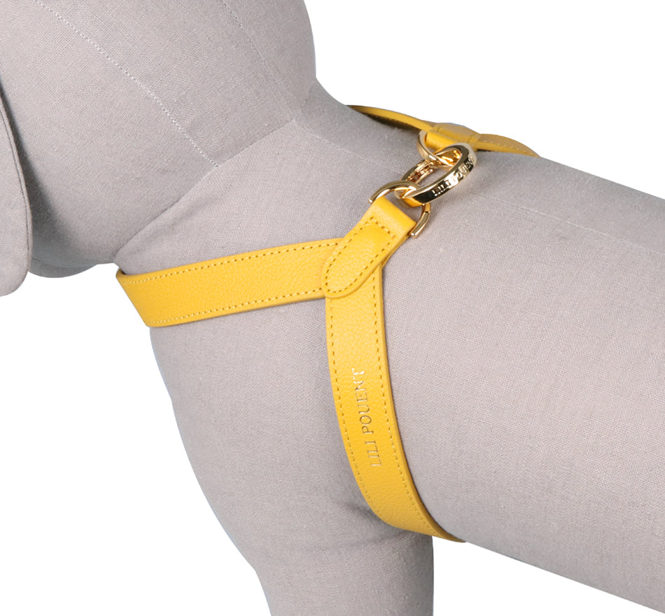 Single Tone VV Harness