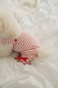 Load image into Gallery viewer, Strawberry Milk Flare Pants