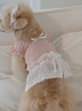 Load image into Gallery viewer, Pink Ballerina Chiffon Skirt