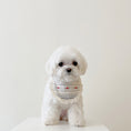 Load image into Gallery viewer, Little Forest Bib (2 colors)