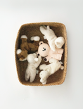 Load image into Gallery viewer, Buddy Toy