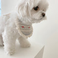Load image into Gallery viewer, Little Forest Bib (2 colors)