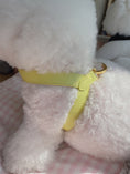 Load image into Gallery viewer, Two Tone Reversible VV Harness