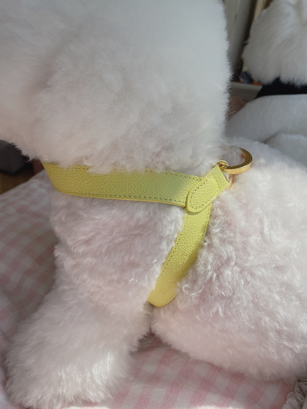 Two Tone Reversible VV Harness