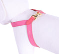 Load image into Gallery viewer, Two Tone Reversible VV Harness