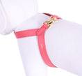 Load image into Gallery viewer, Two Tone Reversible VV Harness