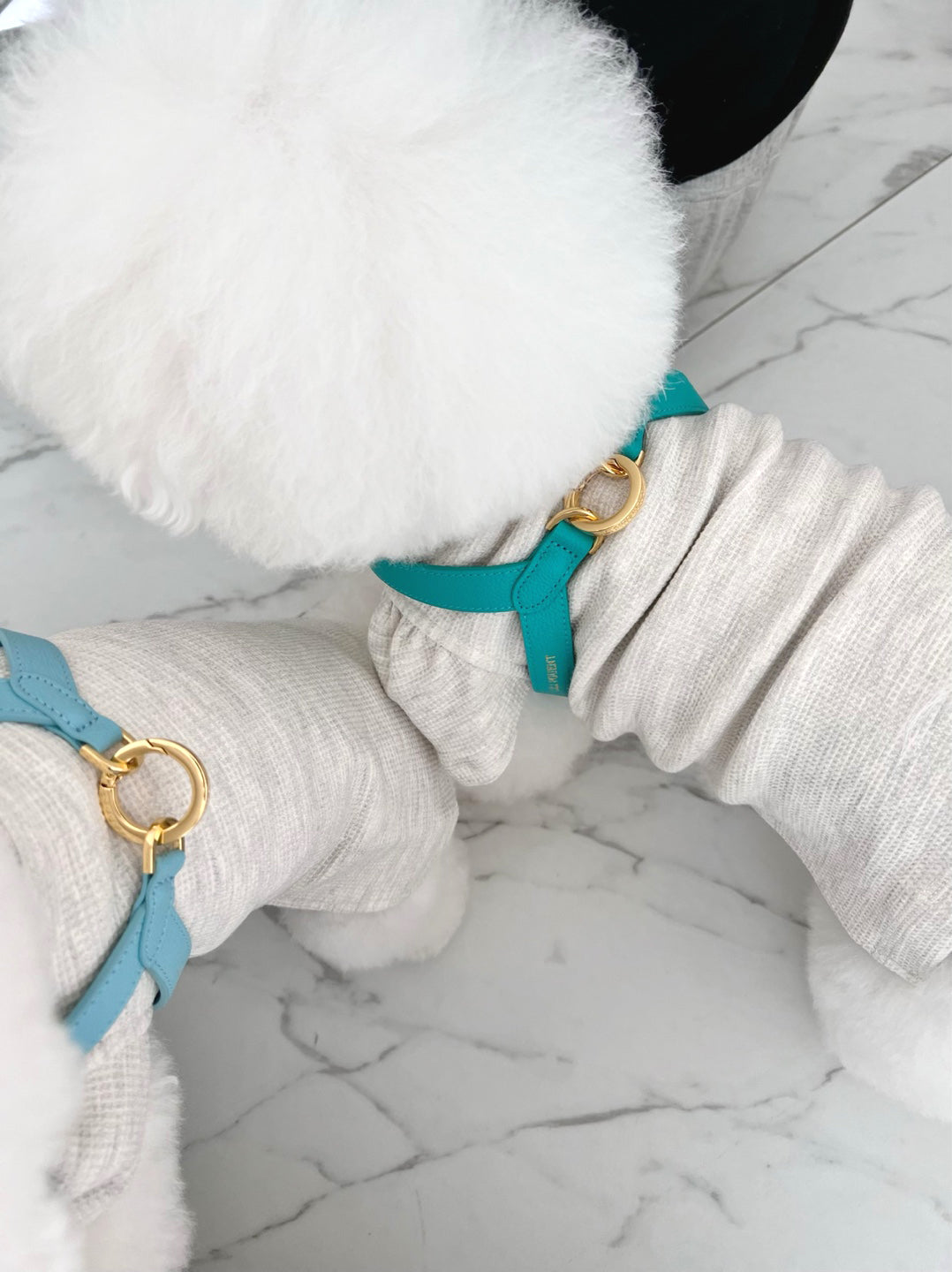 Single Tone VV Harness