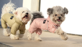 Load image into Gallery viewer, Mesh Coverall SO-OW011