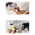 Load image into Gallery viewer, Farm Nosework Toy