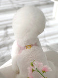 Load image into Gallery viewer, Two Tone Reversible VV Harness