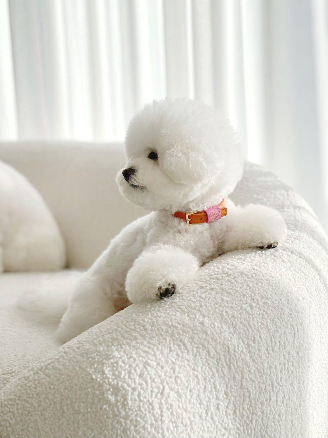Loving Collar