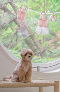 Load image into Gallery viewer, Little Forest All in One