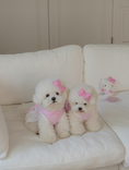 Load image into Gallery viewer, My Favorite Color Ops - Pink