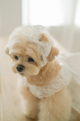 Load image into Gallery viewer, Spring Time Lace Hairpin