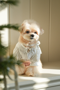 Load image into Gallery viewer, Rocio Necklace Blouse