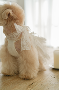 Load image into Gallery viewer, Spring Time Scarf Dress