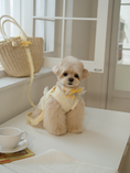 Load image into Gallery viewer, My Favorite Color Leash - Yellow