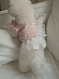 Load image into Gallery viewer, Pink Ballerina Chiffon Skirt