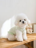 Load image into Gallery viewer, Candy Top