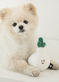 Load image into Gallery viewer, Garlic Nosework Toy