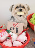 Load image into Gallery viewer, Garlic Nosework Toy