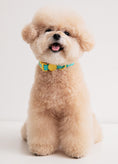 Load image into Gallery viewer, Waterproof Collar (Vivid color)