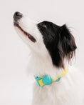 Load image into Gallery viewer, Waterproof Collar (Vivid color)