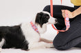Load image into Gallery viewer, Waterproof Collar (Vivid color)
