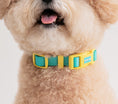 Load image into Gallery viewer, Waterproof Collar (Vivid color)