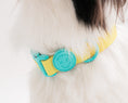 Load image into Gallery viewer, Waterproof Collar (Vivid color)