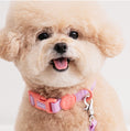 Load image into Gallery viewer, Waterproof Collar (Vivid color)