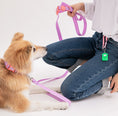 Load image into Gallery viewer, Waterproof Hands-free Leash (Vivid color)