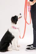 Load image into Gallery viewer, Waterproof Hands-free Leash (Vivid color)
