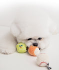 Load image into Gallery viewer, Mini Sports Ball Toy Set