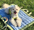 Load image into Gallery viewer, Compact Picnic Mat