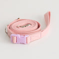 Load image into Gallery viewer, Candy Crayon Leash