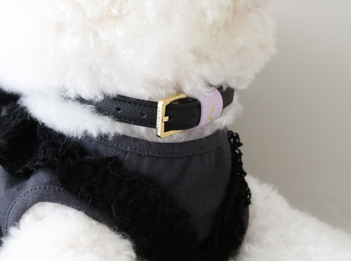 Loving Collar
