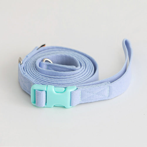 Candy Crayon Leash