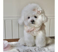 Load image into Gallery viewer, Bon Voyage Collection - Acc