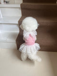 Load image into Gallery viewer, Iris Cape Collar Ops - Pink