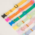 Load image into Gallery viewer, Candy Crayon Collar