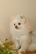 Load image into Gallery viewer, Chamomile Hair Pin