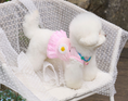 Load image into Gallery viewer, Daisy Stripe Ops - Baby Pink