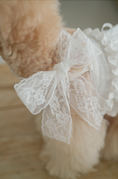 Load image into Gallery viewer, Spring Time Scarf Dress
