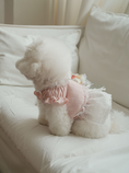 Load image into Gallery viewer, Pink Ballerina Chiffon Skirt