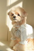 Load image into Gallery viewer, Rocio Necklace Blouse