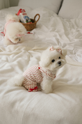 Load image into Gallery viewer, Strawberry Ade Flare Pants
