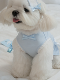 Load image into Gallery viewer, My Favorite Color Sleeveless - Baby Blue